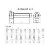 M2 x 20mm Hexagonal Allen Head Stainless Steel Bolt